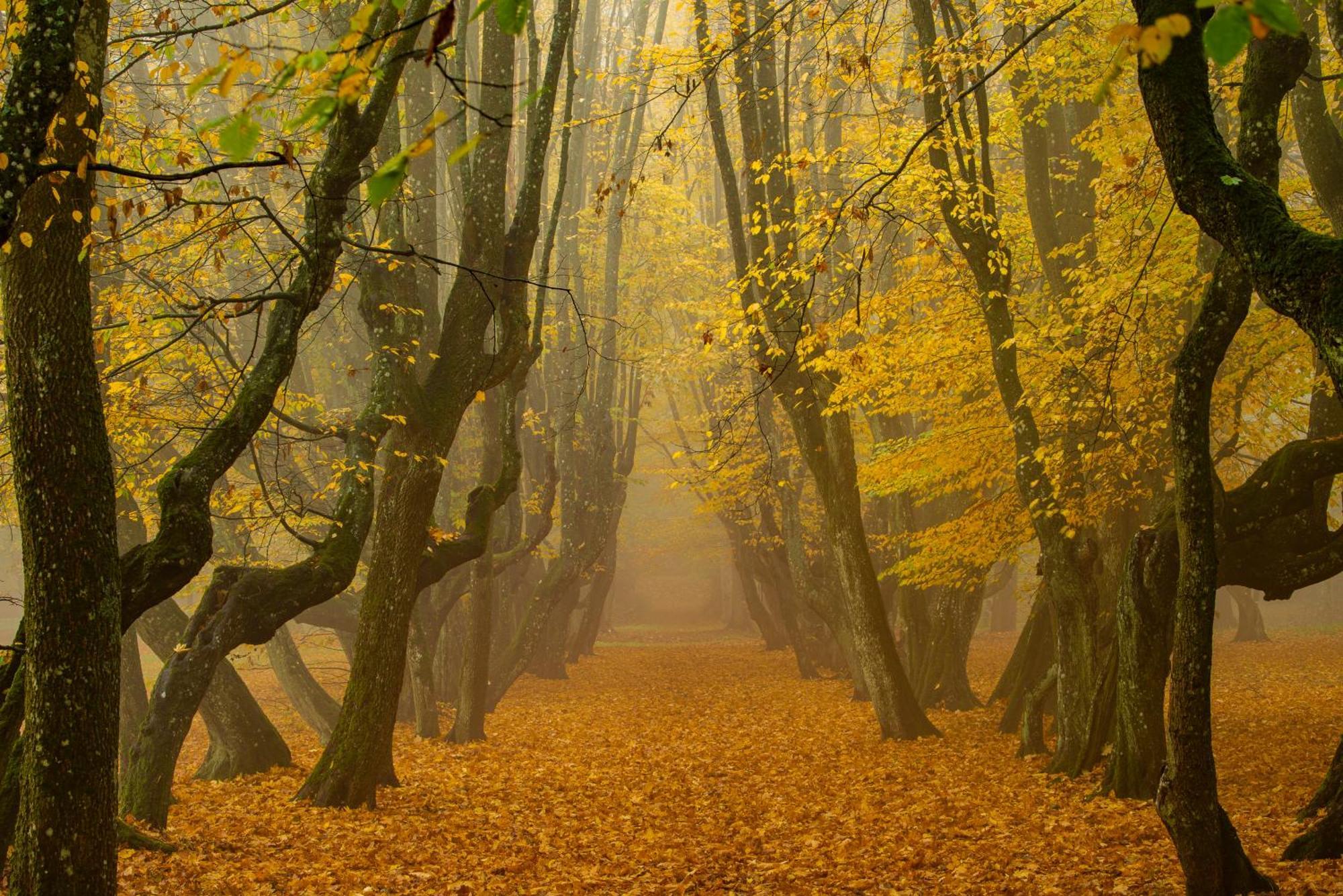 Palac Siemczyno Buitenkant foto
